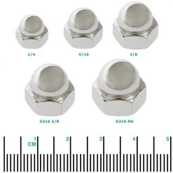 White Label Stainless Steel Dome Nut