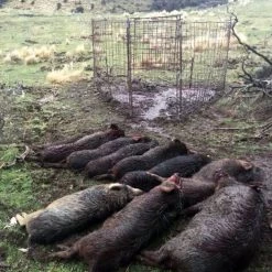 White Label Pig Trap Door Only 10 White Label Pig Trap Door Only -White Label Sales Store 353003 pig trap door only 353003 5 1404654