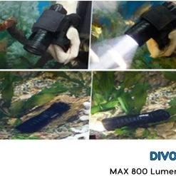 White Label Brinyte LED Dive Torch 800lm -White Label Sales Store brinyte led underwater diving torch 5
