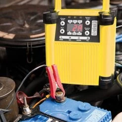 White Label Intelligent 6V/12V/24V 15A Battery Charger